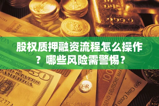武汉股权质押融资流程怎么操作？哪些风险需警惕？