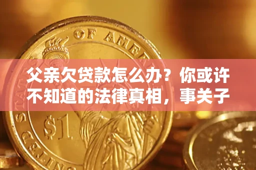 武汉父亲欠贷款怎么办？你或许不知道的法律真相，事关子女未来