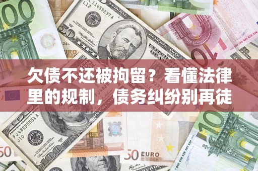 武汉欠债不还被拘留？看懂法律里的规制，债务纠纷别再徒劳奔波