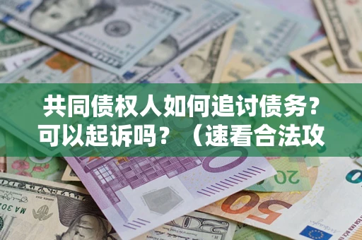 武汉共同债权人如何追讨债务？可以起诉吗？（速看合法攻略）