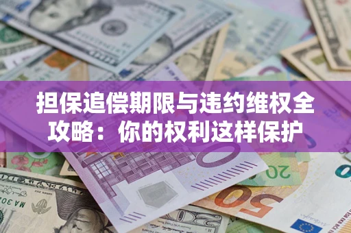 武汉担保追偿期限与违约维权全攻略：你的权利这样保护