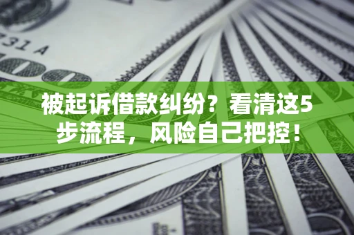 武汉被起诉借款纠纷？看清这5步流程，风险自己把控！