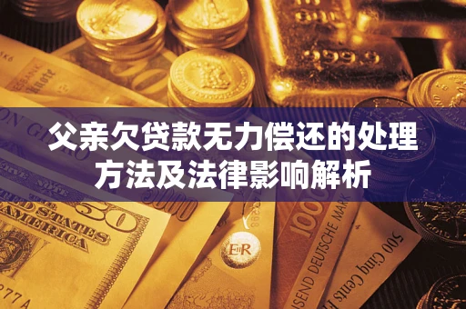武汉父亲欠贷款无力偿还的处理方法及法律影响解析